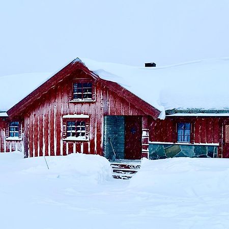 Large Cabin Sjusjoen Best View, Sauna, Ski Inout Exterior foto