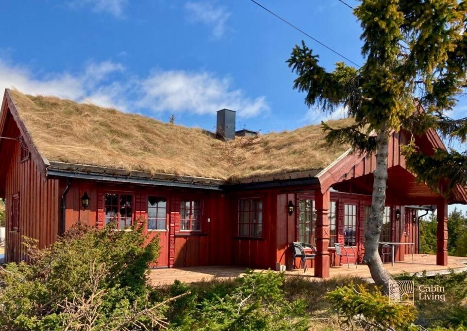 Large Cabin Sjusjoen Best View, Sauna, Ski Inout Exterior foto