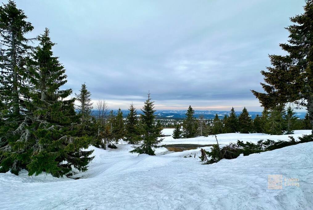 Large Cabin Sjusjoen Best View, Sauna, Ski Inout Exterior foto